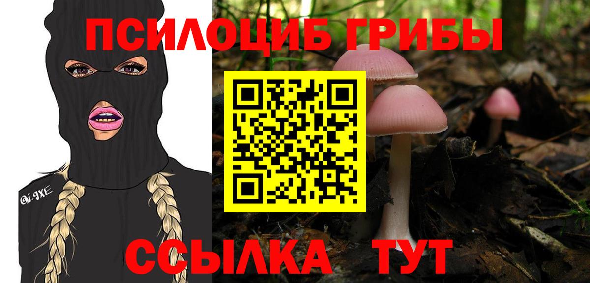 Псилоцибиновые грибы Psilocybe Шали